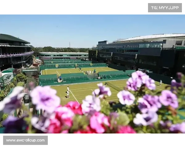 2026赛季温网引入抗旱草种革新草皮养护技术提升赛事环境可持续性